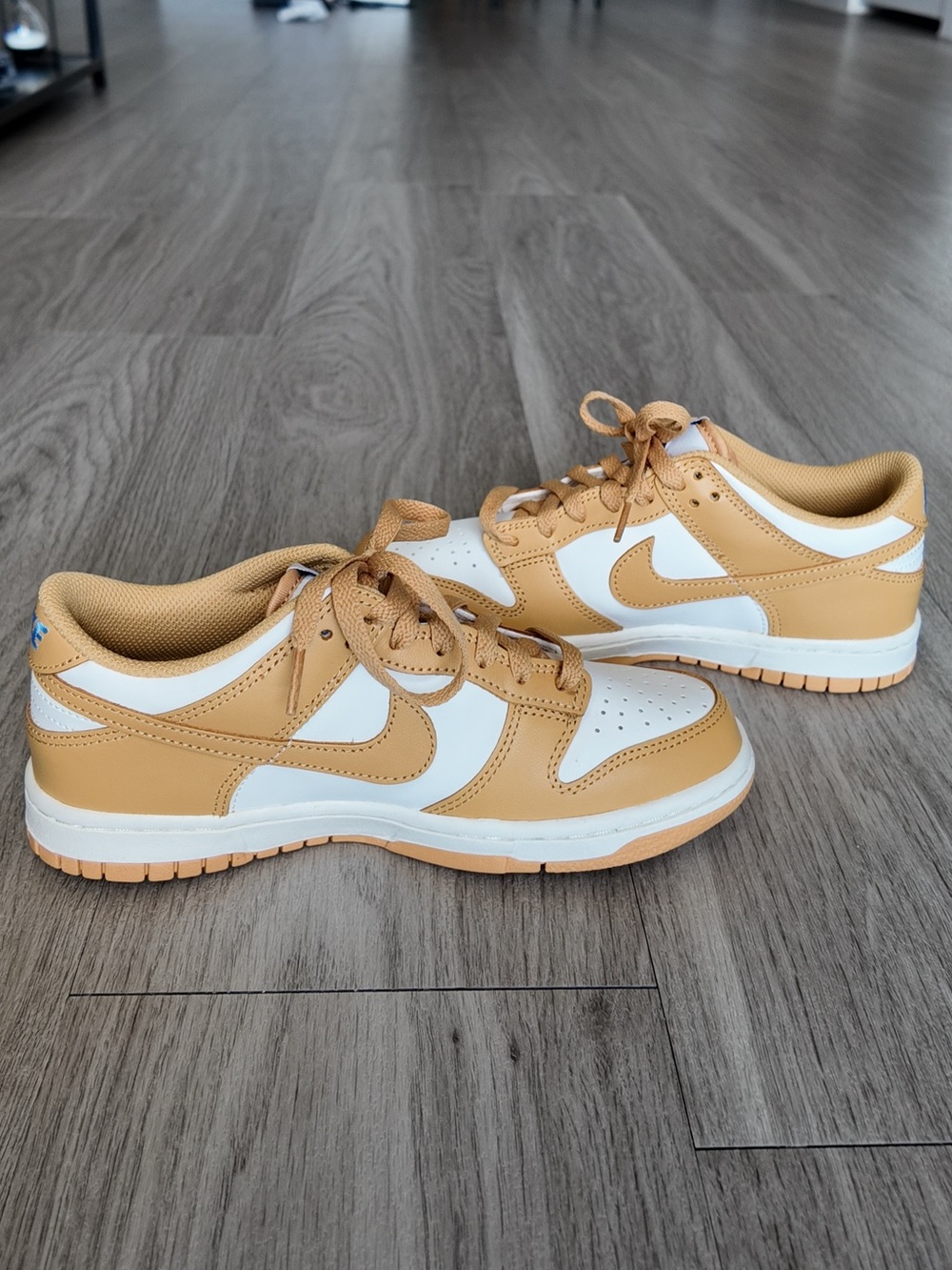 Nike Dunk Low